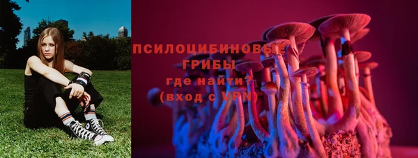 jwh Каменка