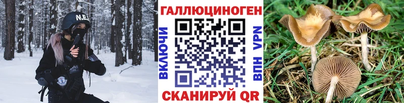Купить  Сим  Галлюциногенные грибы Magic Shrooms 